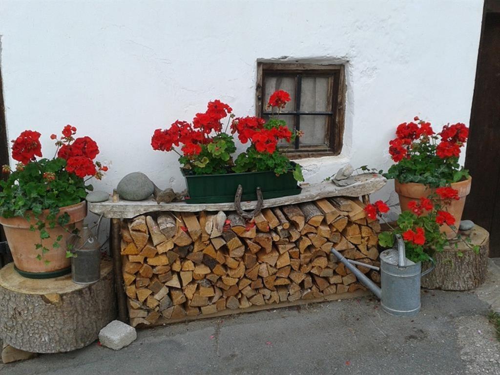 Appartment Oberseebach Scheffau am Wilden Kaiser Exterior foto