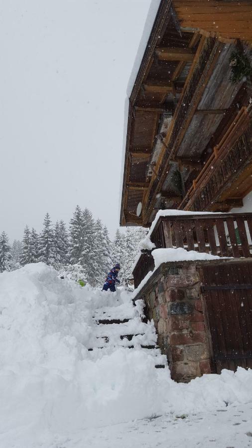 Appartment Oberseebach Scheffau am Wilden Kaiser Exterior foto